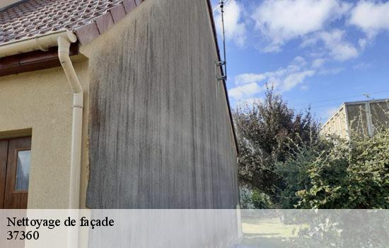 Nettoyage de façade 37360