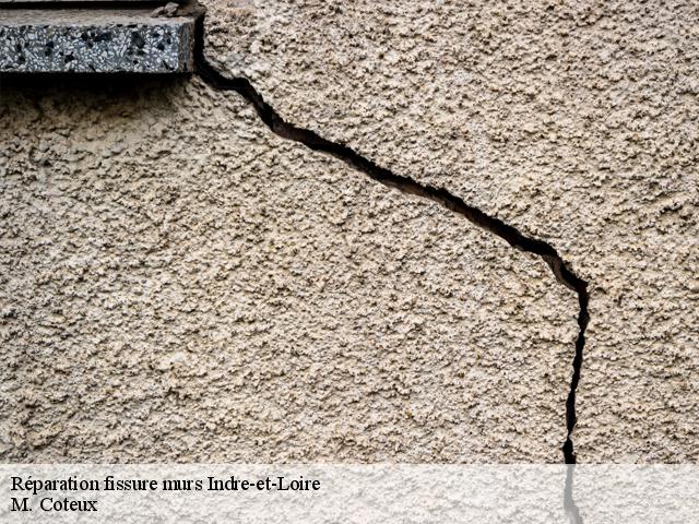 Réparation fissure murs 37 Indre-et-Loire  M. Coteux