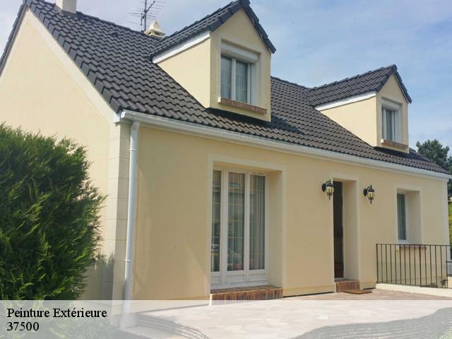 Peinture Extérieure 37500