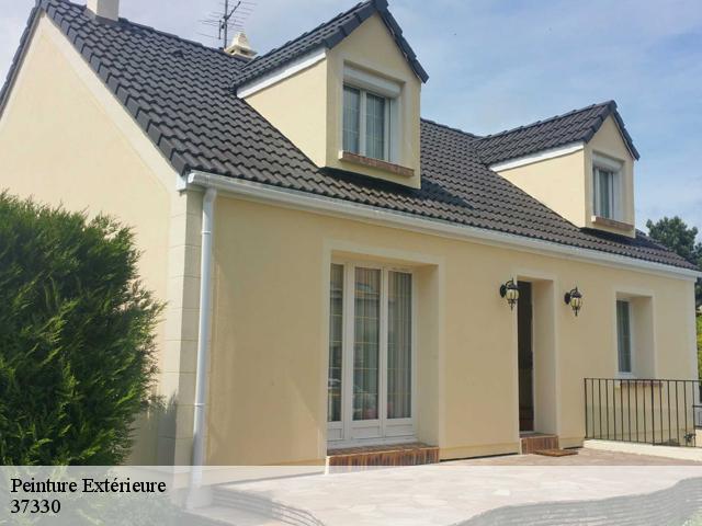 Peinture Extérieure 37330