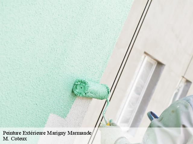 Peinture Extérieure marigny-marmande-37120 M. Coteux