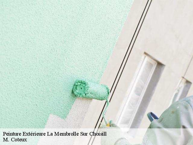 Peinture Extérieure la-membrolle-sur-choisill-37390 M. Coteux