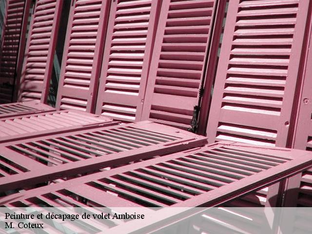 Peinture et décapage de volet amboise-37400 M. Coteux