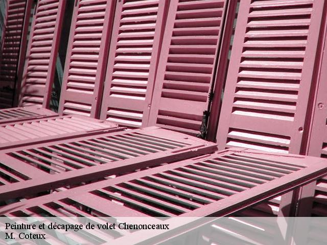 Peinture et décapage de volet chenonceaux-37150 M. Coteux