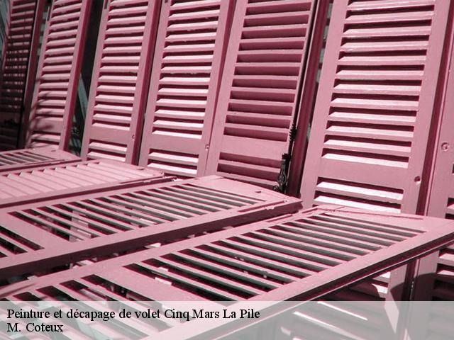 Peinture et décapage de volet cinq-mars-la-pile-37130 M. Coteux