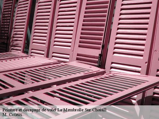 Peinture et décapage de volet la-membrolle-sur-choisill-37390 M. Coteux
