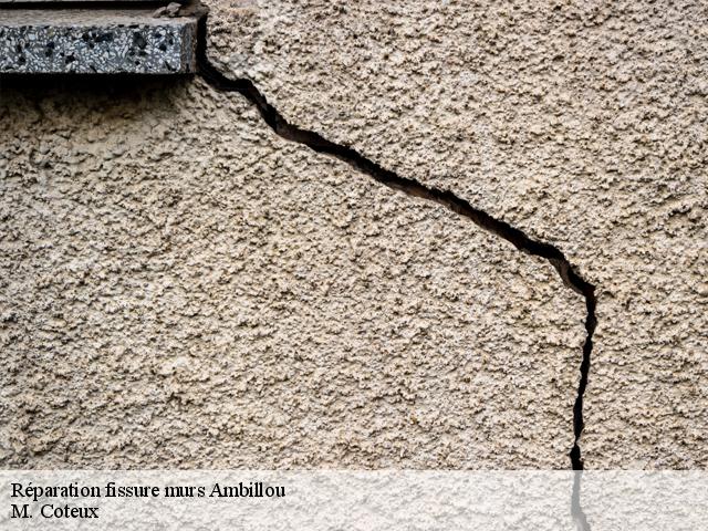 Réparation fissure murs  ambillou-37340 M. Coteux