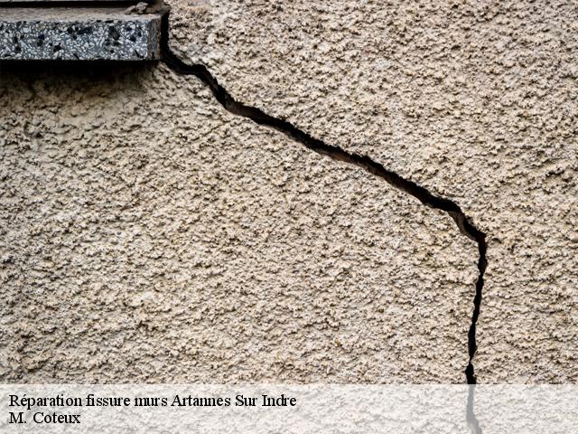 Réparation fissure murs  artannes-sur-indre-37260 M. Coteux