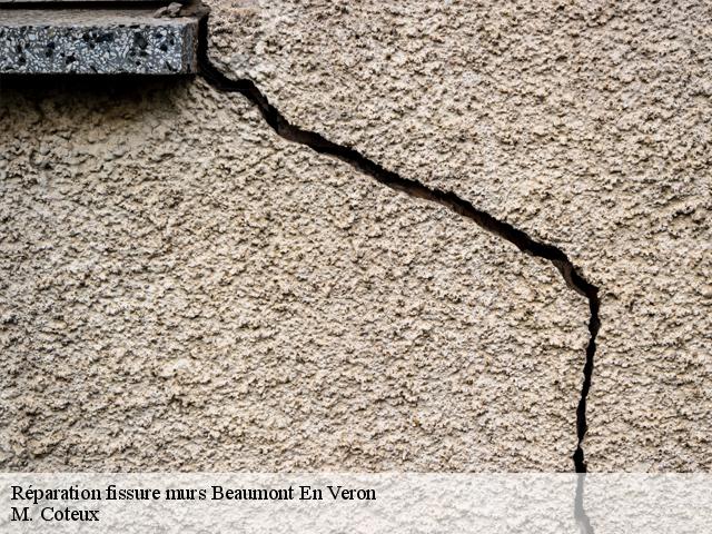 Réparation fissure murs beaumont-en-veron-37420 M. Coteux