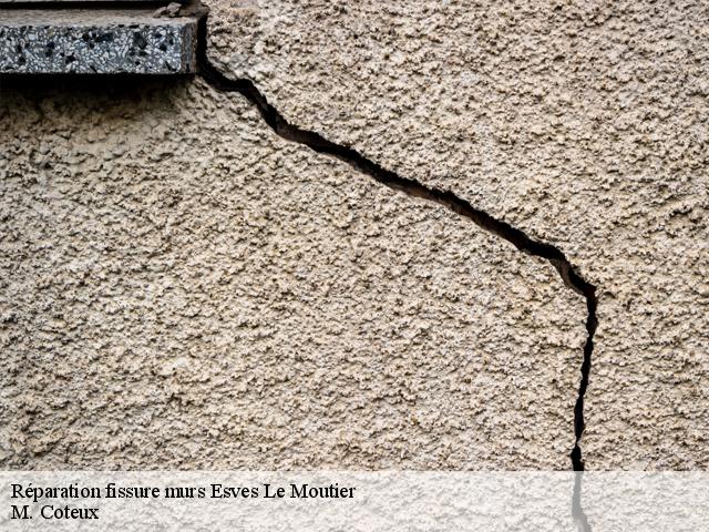 Réparation fissure murs esves-le-moutier-37240 M. Coteux