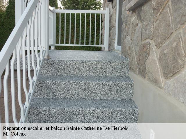 Réparation escalier et balcon  sainte-catherine-de-fierbois-37800 M. Coteux