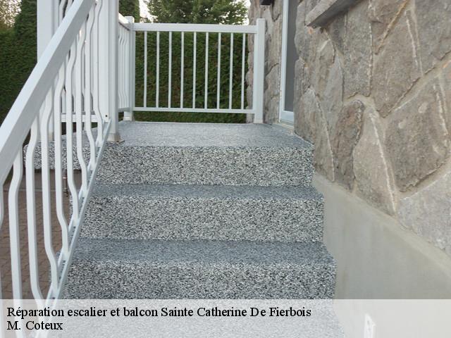 Réparation escalier et balcon sainte-catherine-de-fierbois-37800 M. Coteux